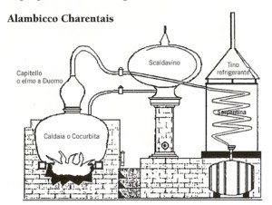 scansione0003